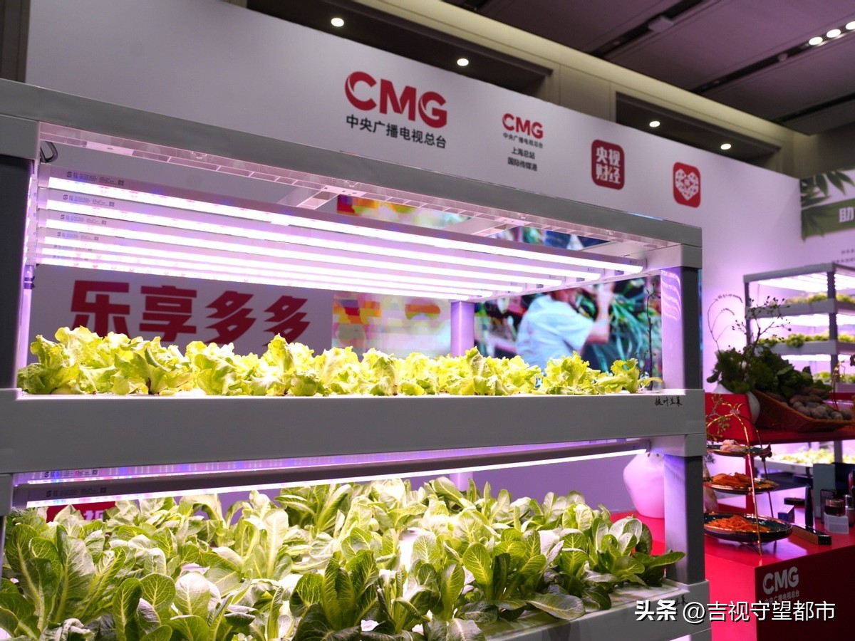 拼多多直播五五购物节,拼多多商品五五购物节