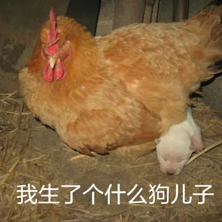 中国暴打日本人,中国鳗鱼咬人事件