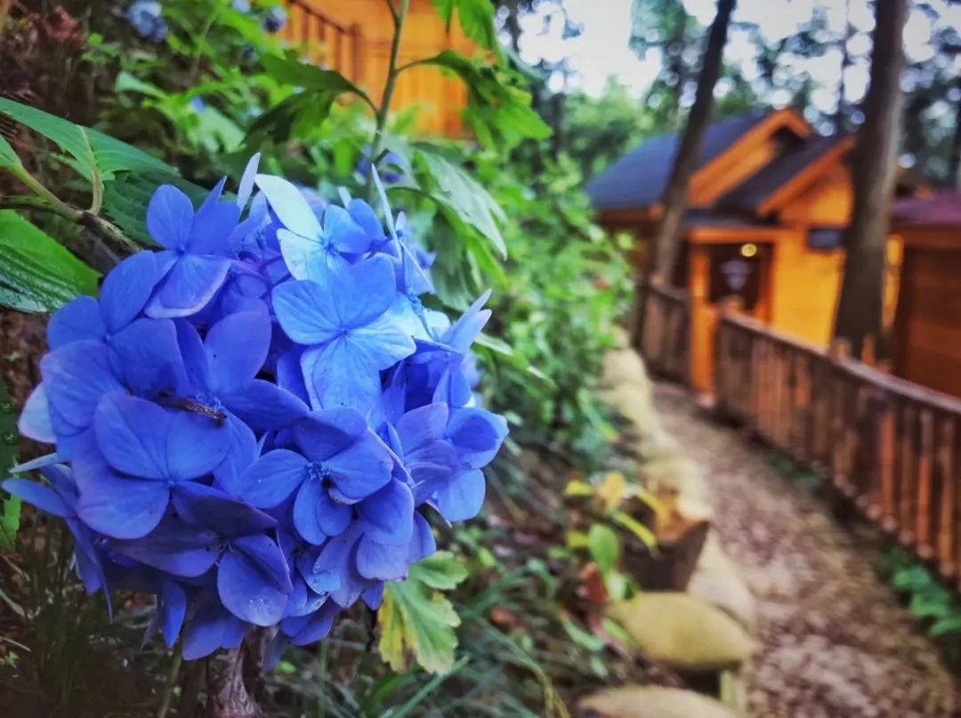 给你一个爱上乌兰察布的理由,给你一个喜欢我的理由