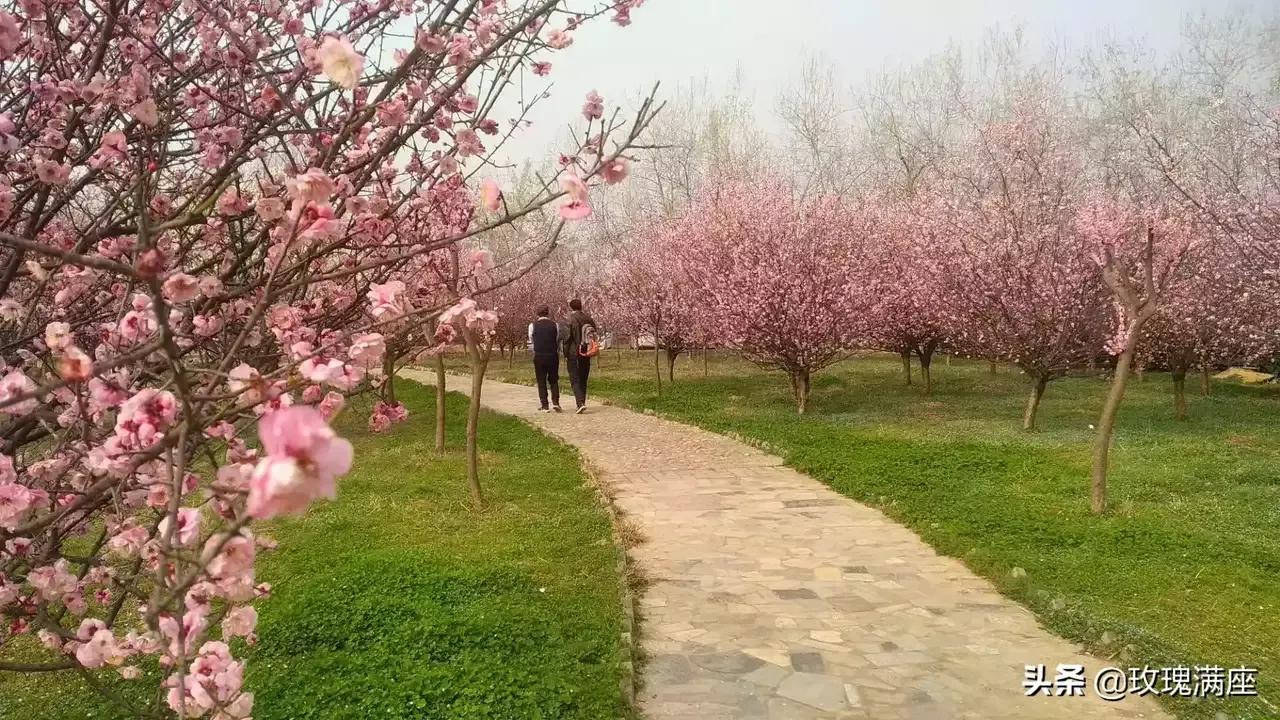 咸阳最好的公园在哪里,咸阳龙湖彩虹郦城规划有公园吗