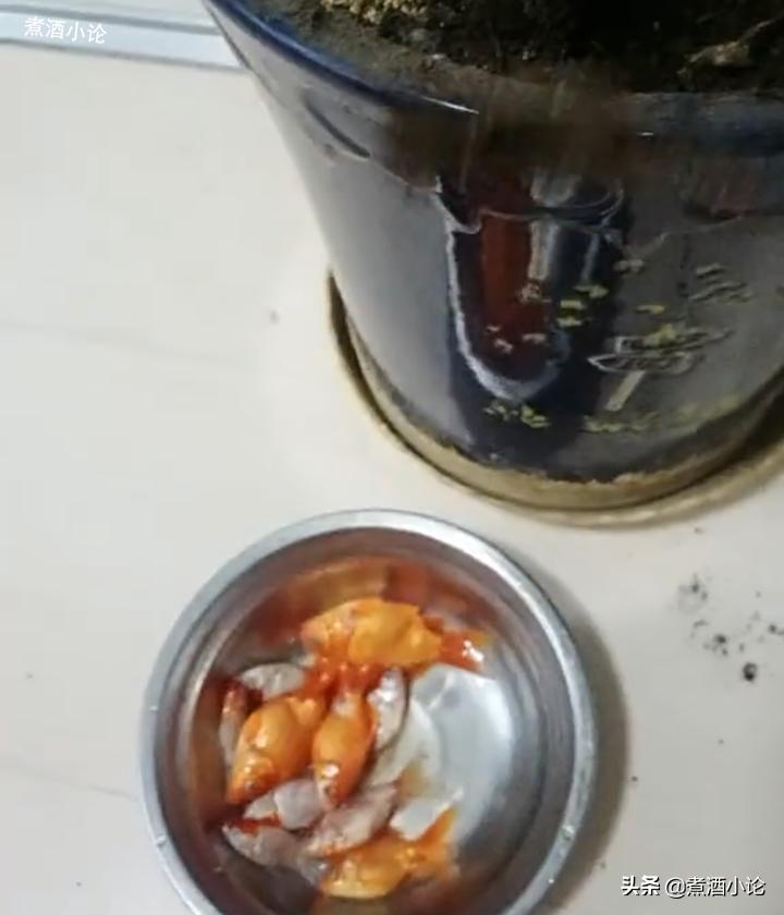 女子网购金鱼冻住了后续,网购的金鱼冻了能活过来吗