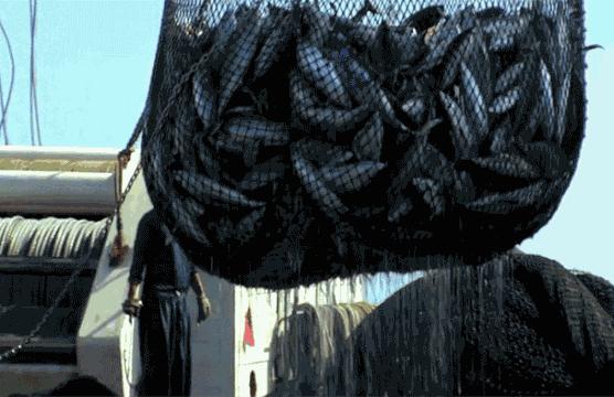 有山有海有雪的城市烟台,环渤海新区烟台