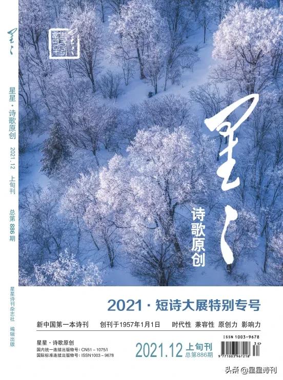 2022短诗大赛,2021年短诗大赛