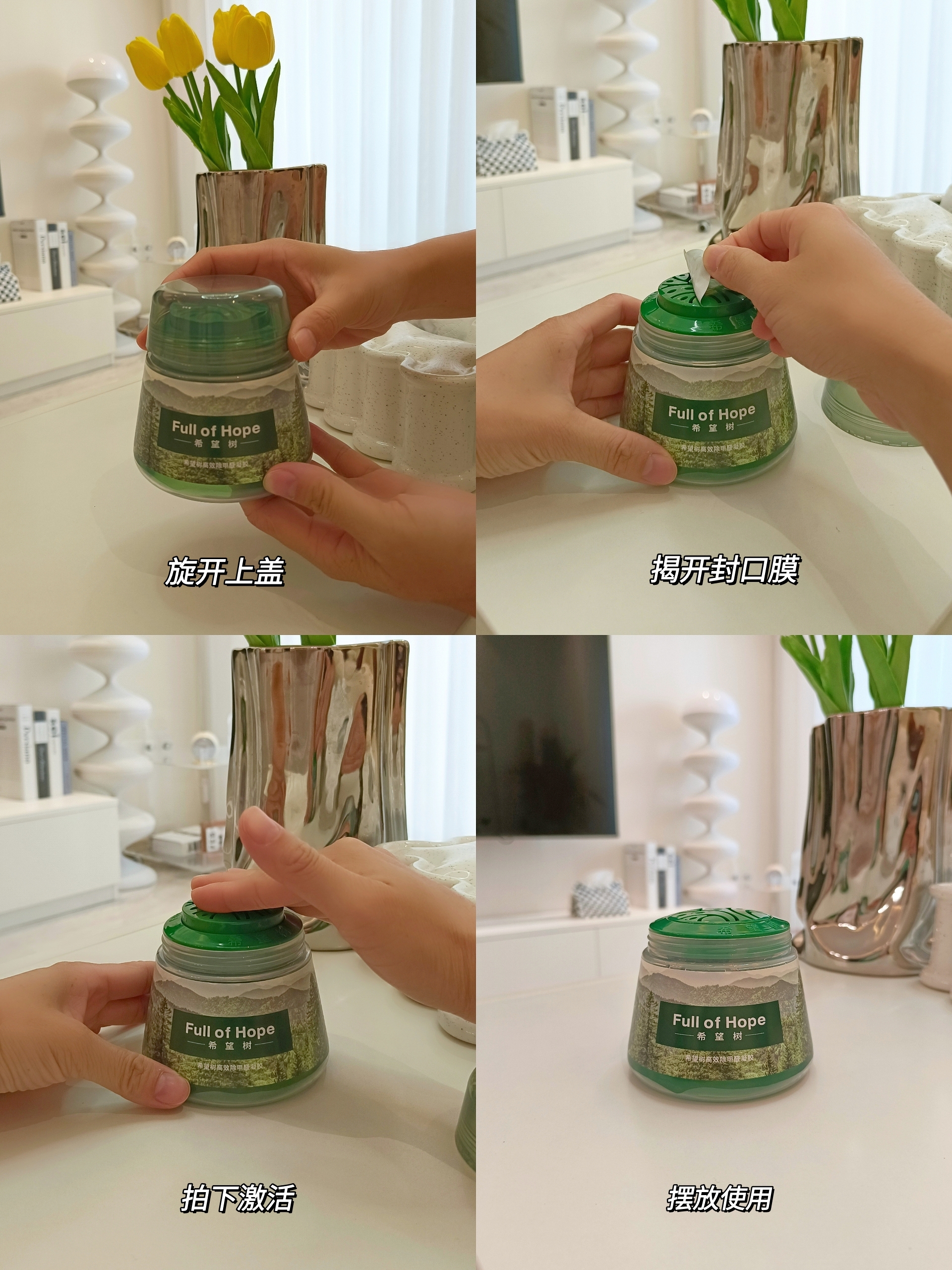 装修后室内放什么花帮助去除甲醛,装修房子放什么植物可以去除甲醛