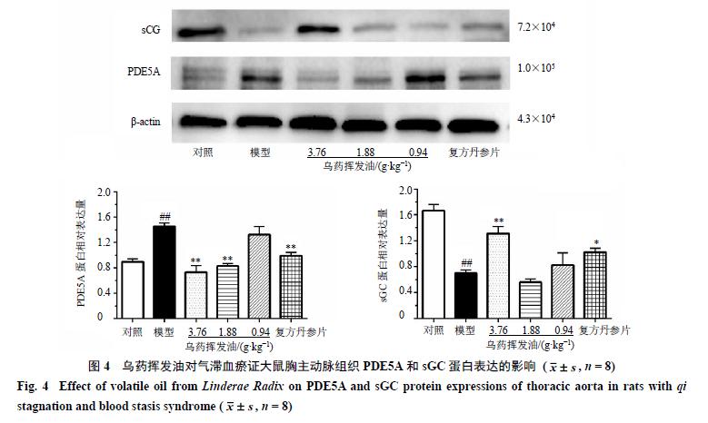 乌药有活血化瘀作用吗,寒凝气滞乌药
