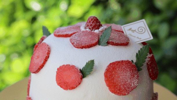 上海经常排队的奶茶店,上海奶茶排队最厉害的店铺