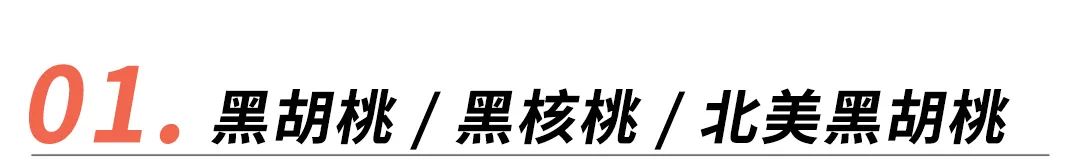 黑胡桃木樱桃木橡木家具哪个好,橡木榆木黑胡桃木