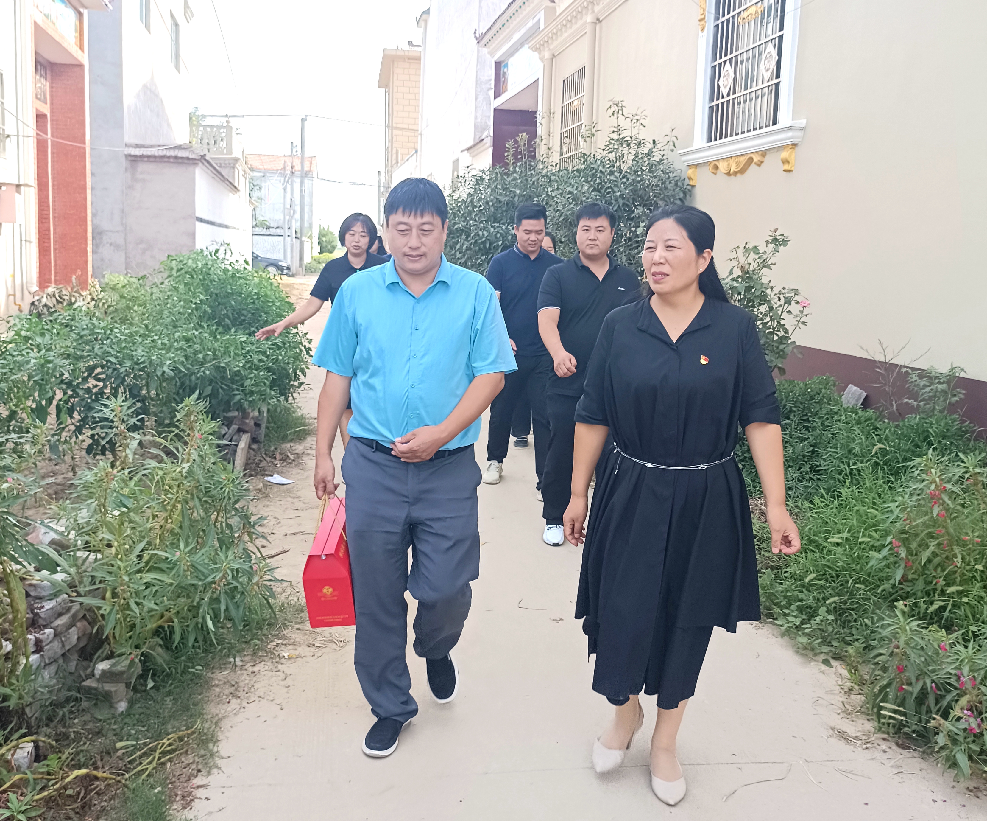 在希望的田野上——记周口市淮阳区冯塘乡丁洼村驻村第一书记孙艳