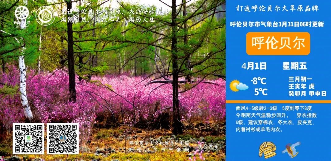 中国呼伦贝尔最大的草原 (呼伦贝尔大草原是世界第一吗)