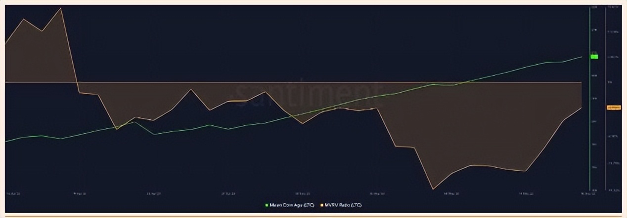 ltc减半之前为什么大跌,ltc减半前会跌吗