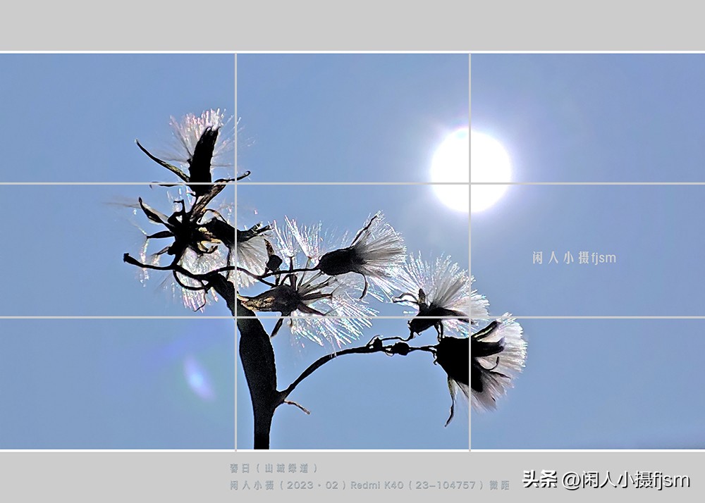 手机摄影构图技巧全解,玩转手机摄影一学就会的构图技巧