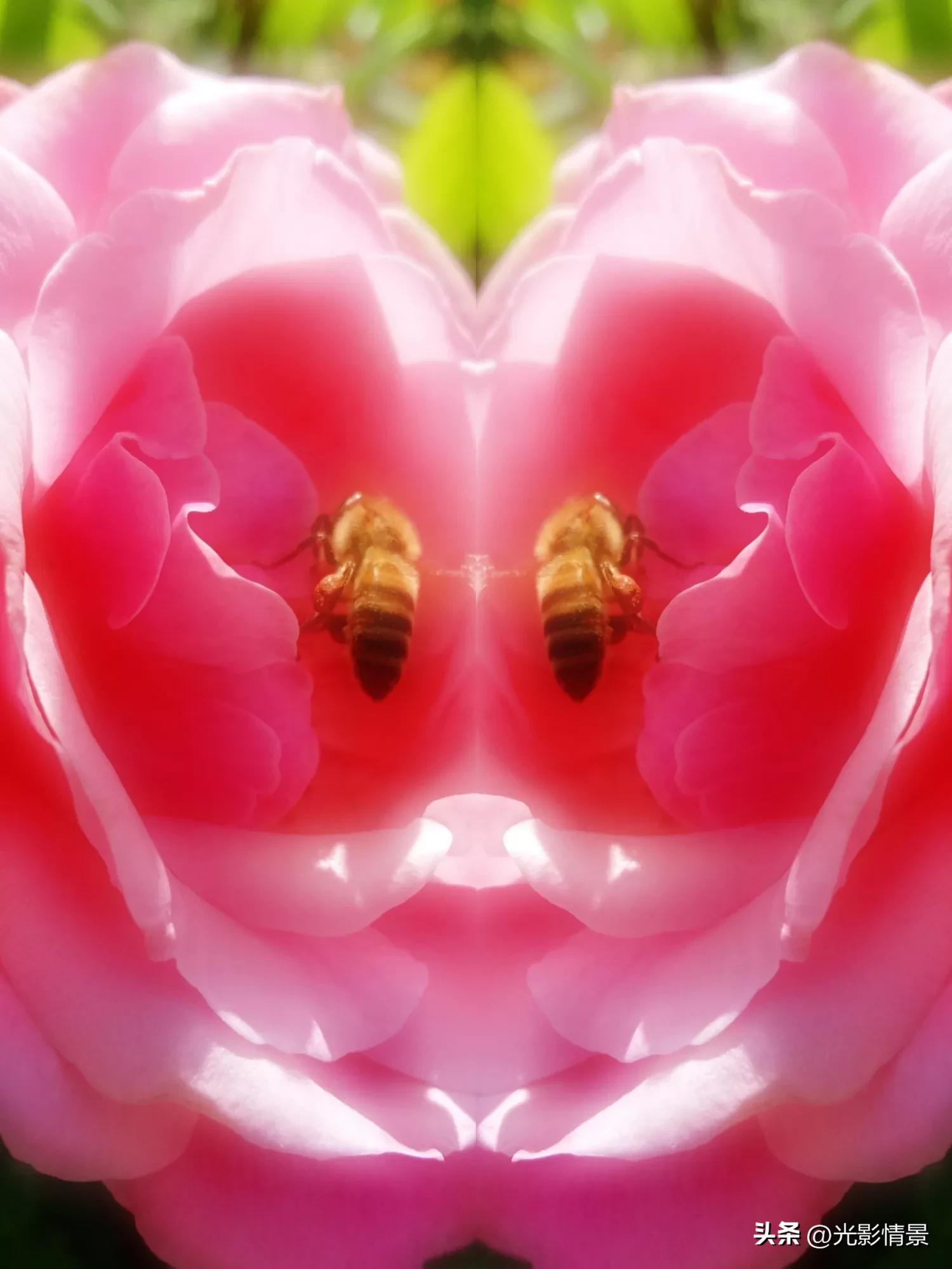 手机也能拍大片华为,手机也能拍大片摄影作品点评全集