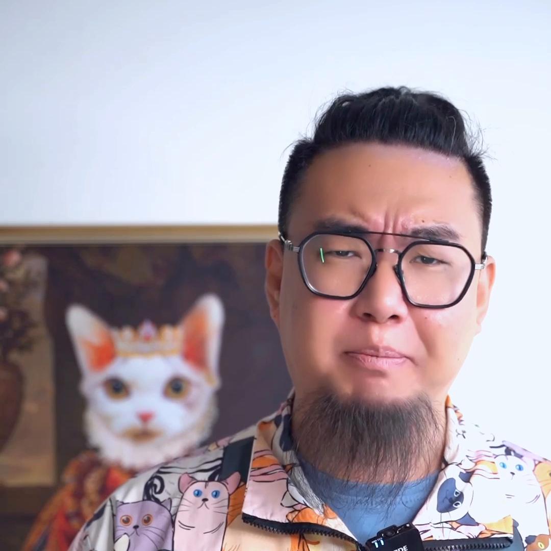 买猫粮,什么猫粮又便宜猫猫吃了又放心