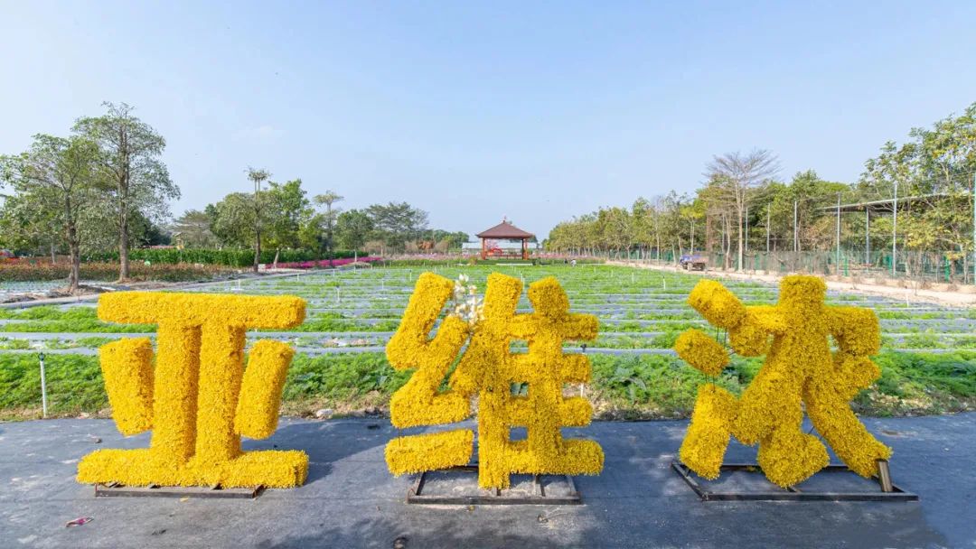 六一童真之旅,欢乐过六一儿童创意作品