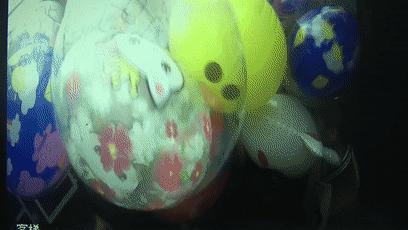 打火机试探,打火机试探煤气罐漏气