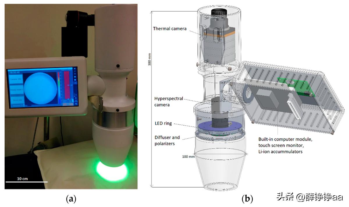 鍒╃敤澶槼杈愬皠,鍒╃敤澶槼鍏夋敾鍑荤殑鐢熺墿