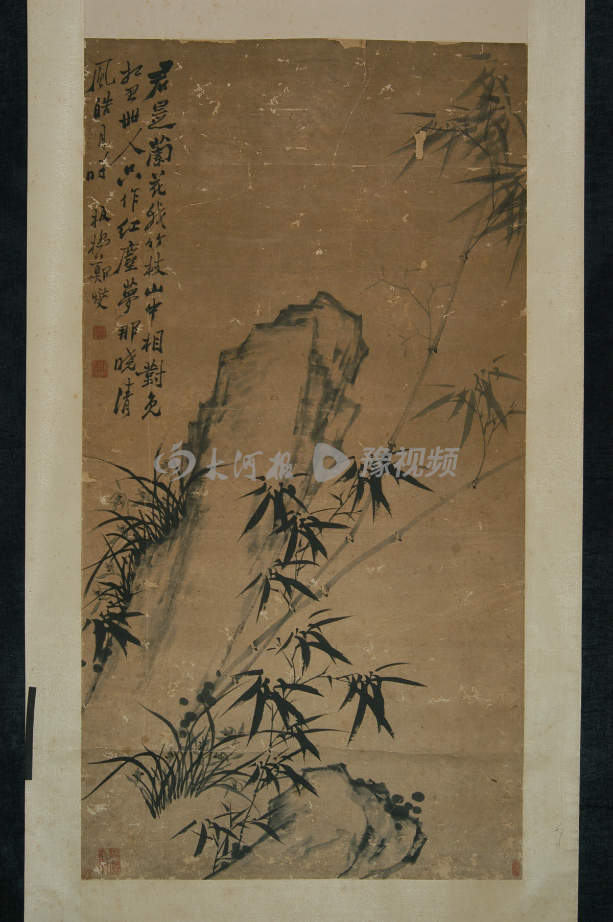 楠ㄩ鎯婂鑺傜洰,楠ㄩ鎯婂琛ㄦ紨瑙嗛