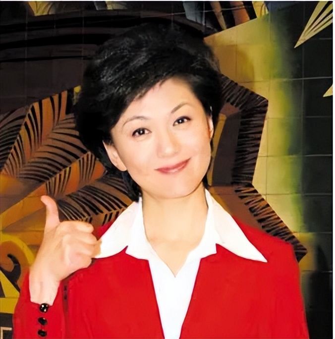 河南电视台名嘴是谁,河南电视台著名主持人排行榜