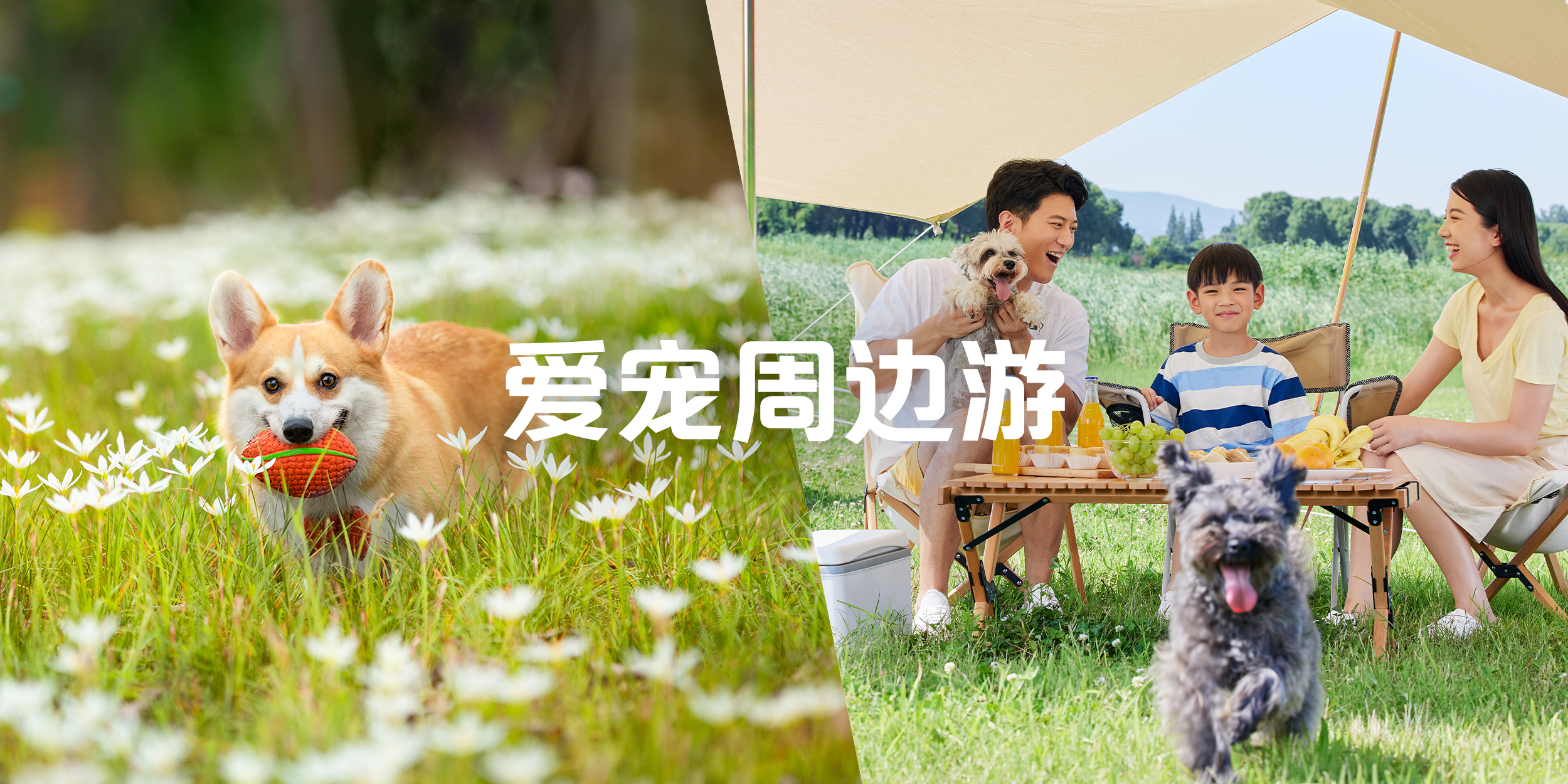 复工复产的美好愿望,复工复产三项要求