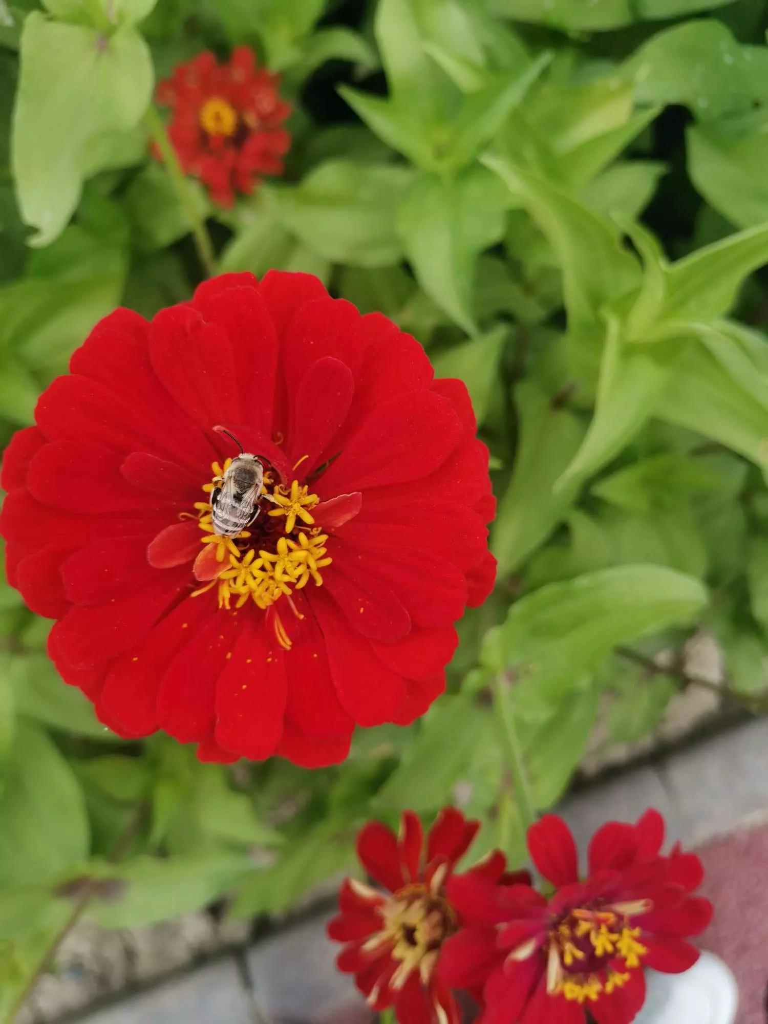岁月斑驳留下来的都是静好时光,岁月斑驳愿时光静好