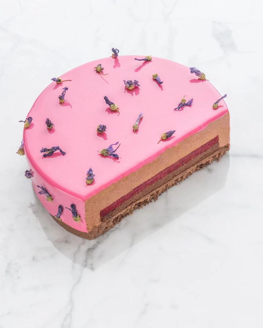 蛋糕切面,蛋糕两层夹心切面图片