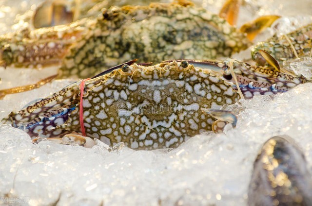 死螃蟹吃了中毒后多久能出现症状,老人吃死螃蟹中毒