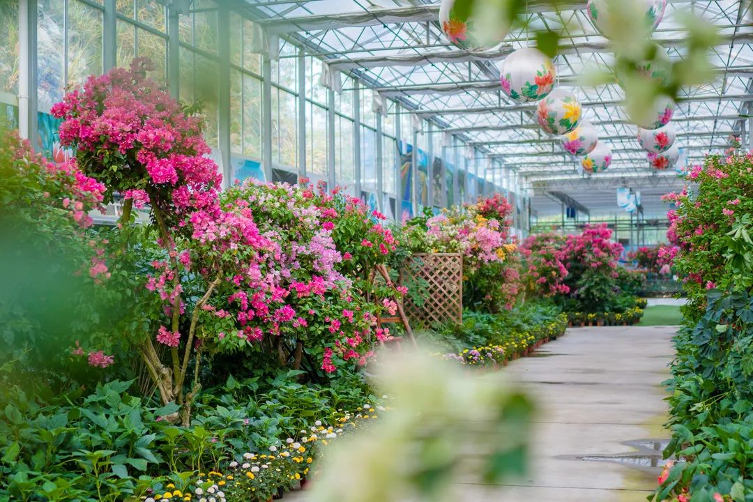 湖北毕业旅行,最适合毕业旅游的旅游景点