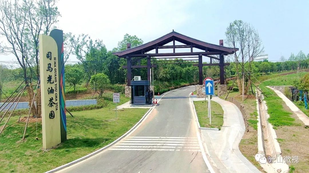 光山县司马光油茶园,河南光山司马光油茶园