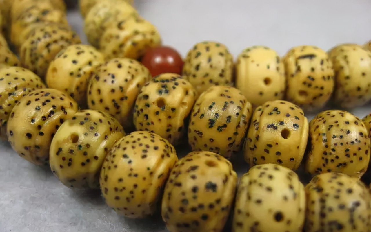 星月菩提有哪几种造型,星月菩提特殊造型