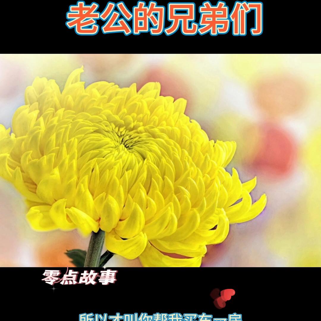 祝朋友开心快乐每一天祝福语 (祝朋友开心快乐的文案)