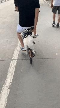 妹子注意点吧，你这姿势太不雅观了，在公共场合还是收敛点吧。