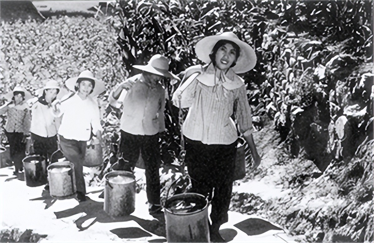 1973年，周恩来第3次视察大寨，感慨：我老了，不会有希望再来了