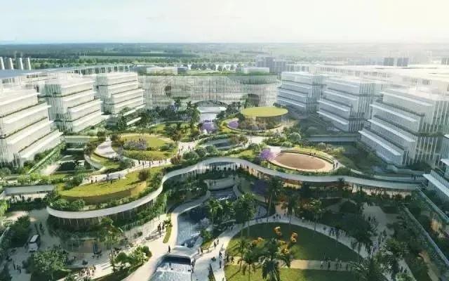 南沙教育名校,南沙七大名校公布名单哪里查