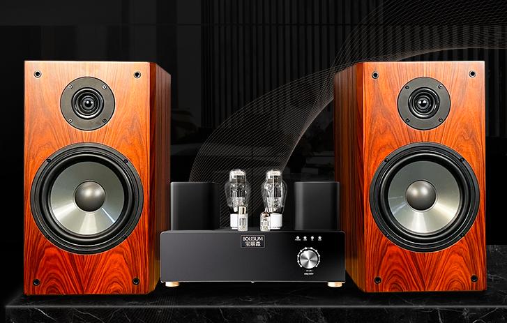 300b胆机的优点和缺点,300b胆机便宜吧