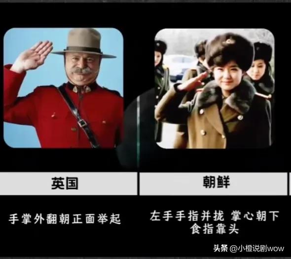 梦中的那片海出错片段,梦中的那片海是不是很难看