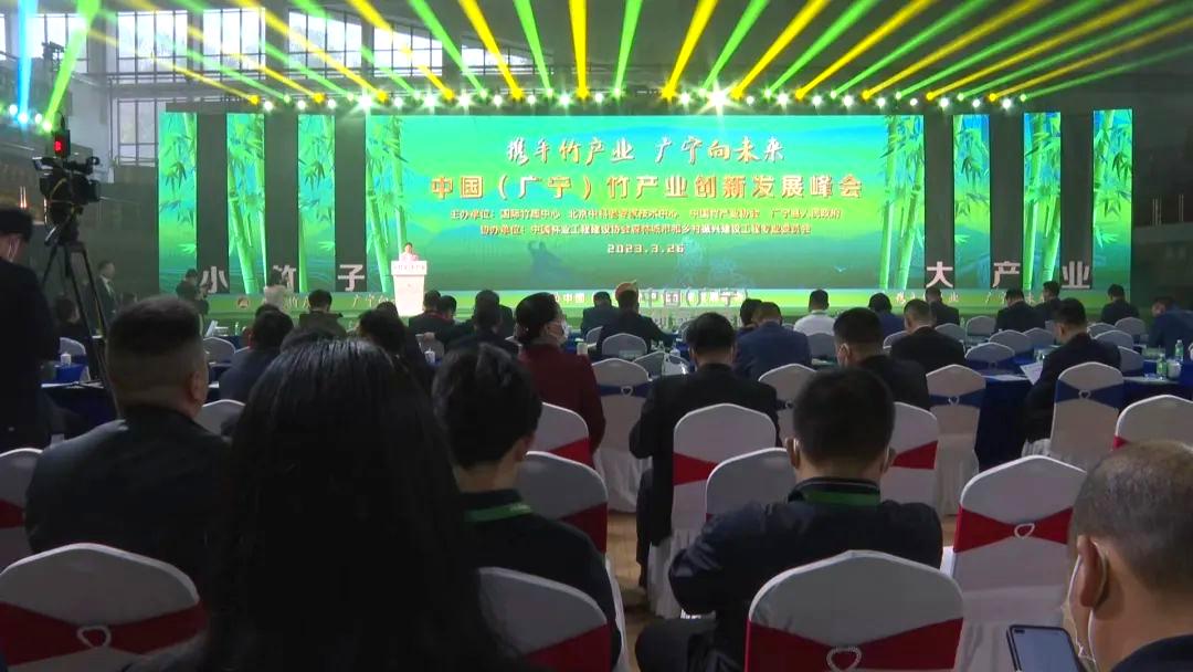 广东广宁深耕竹产业促进绿色发展,广宁县国际竹产业创新发展