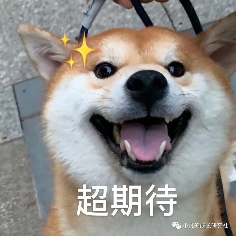 趋势型交易策略的盈利之道干货,趋势股主升浪战法的盈利模式