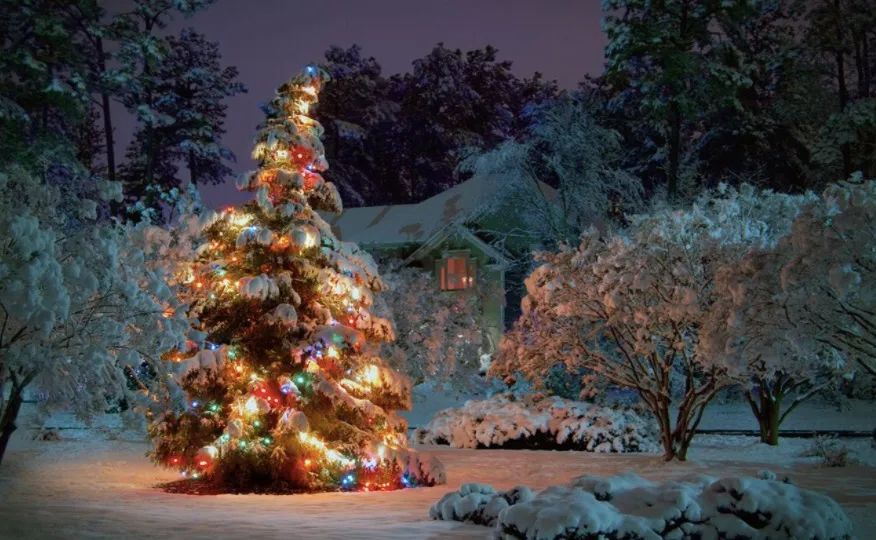 世界上最好吃的圣诞大餐,世界各地圣诞大餐