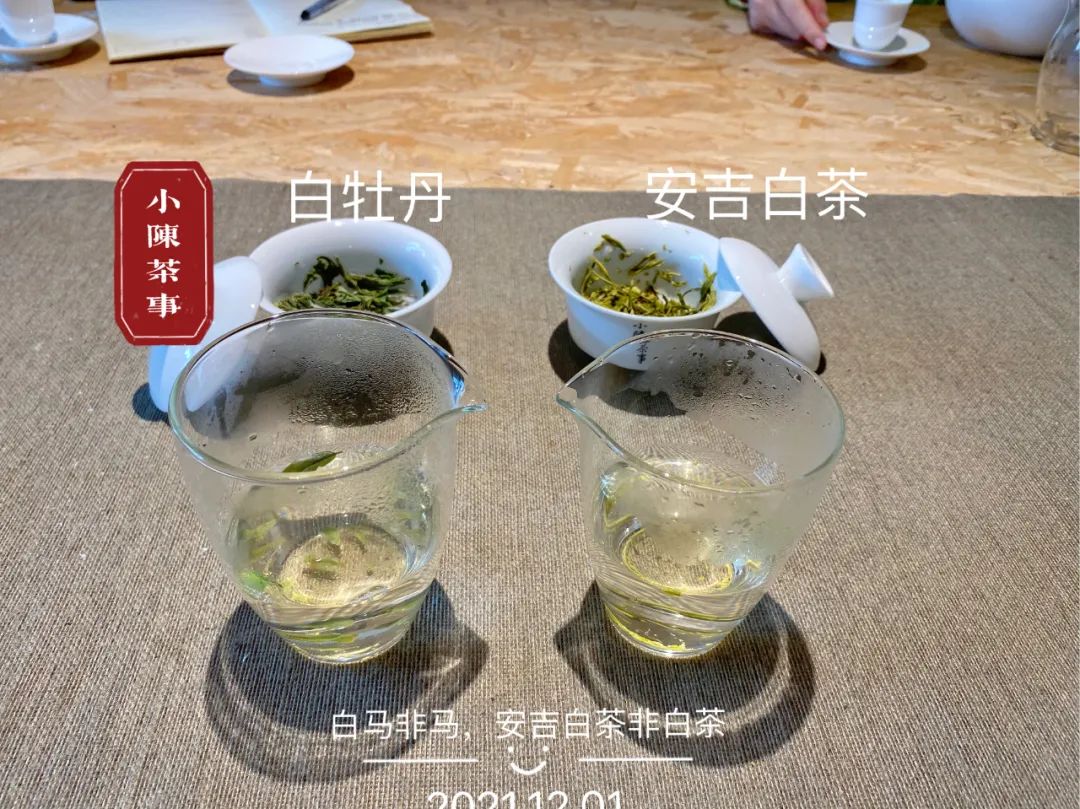 白茶是一种绿茶么,白茶是白的吗