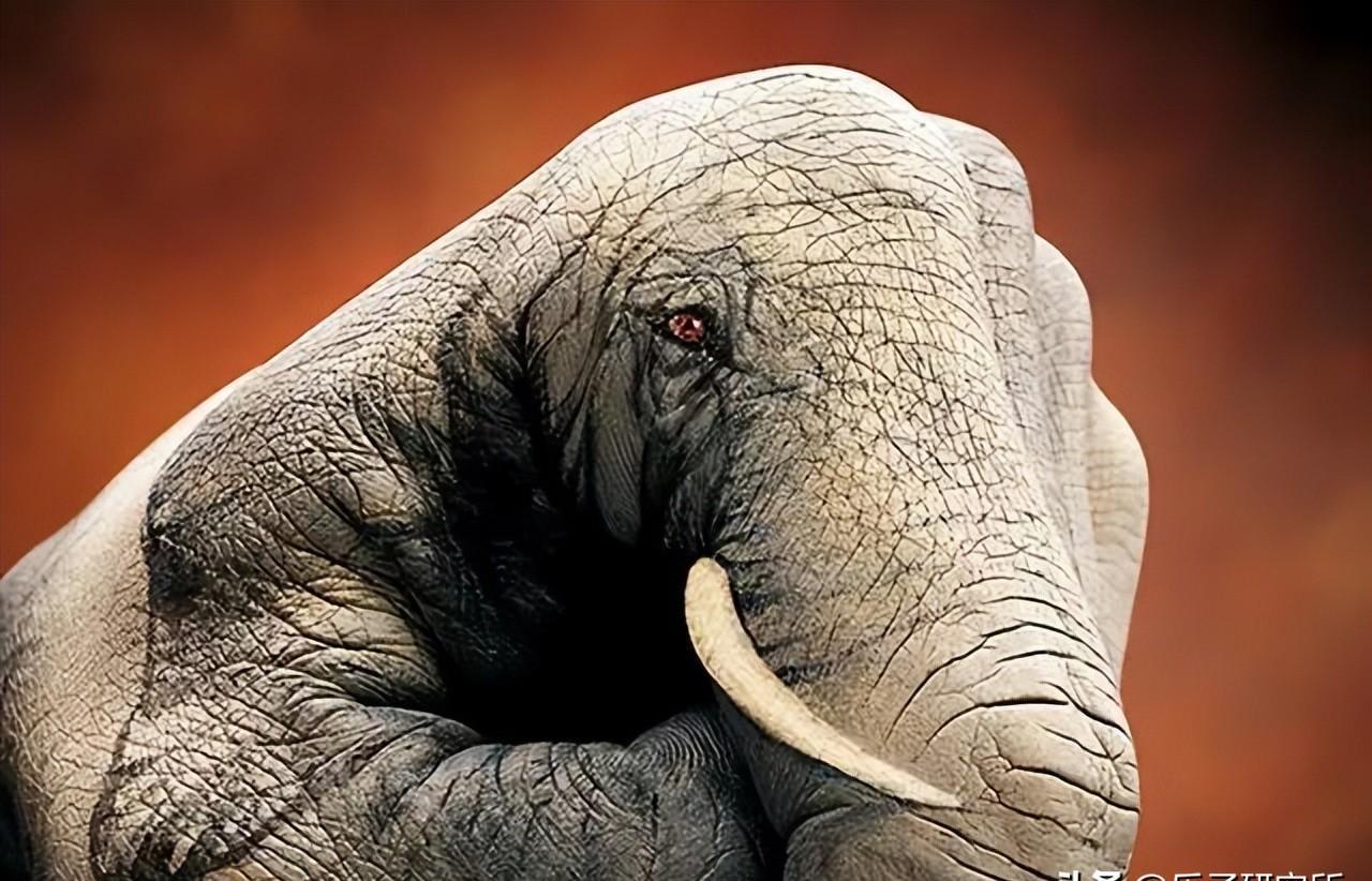 魅力绽放！探索人体艺术的绝美之处