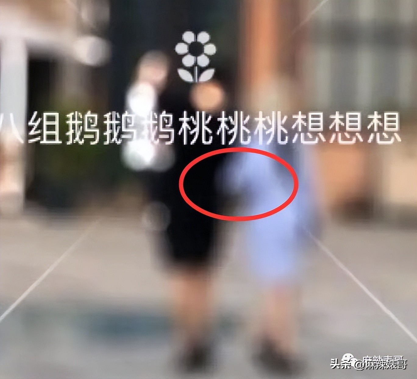 热带鱼cp真的好过吗,热带鱼cp是哪个