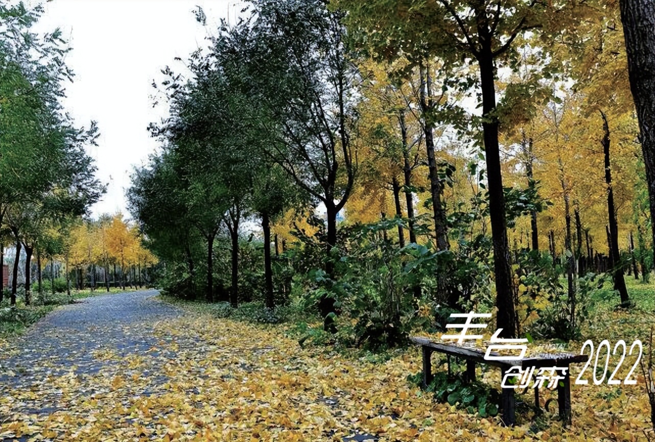 【FENG景】创森动态|天元公园——天圆地方，林间休闲