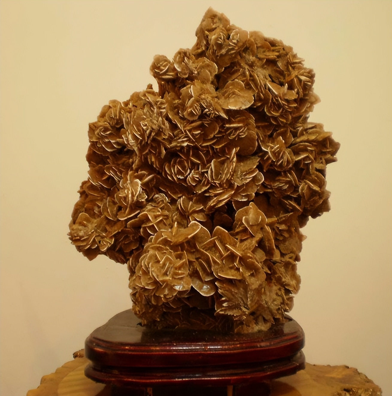 沙漠玫瑰原生地景观,沙漠里的沙漠玫瑰奇特景观