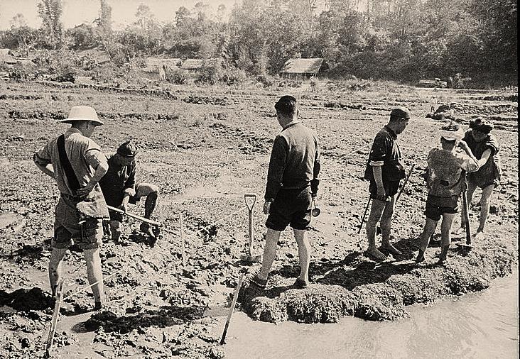 纳粹屠杀犹太妇女纪实,纳粹德国屠杀犹太女人