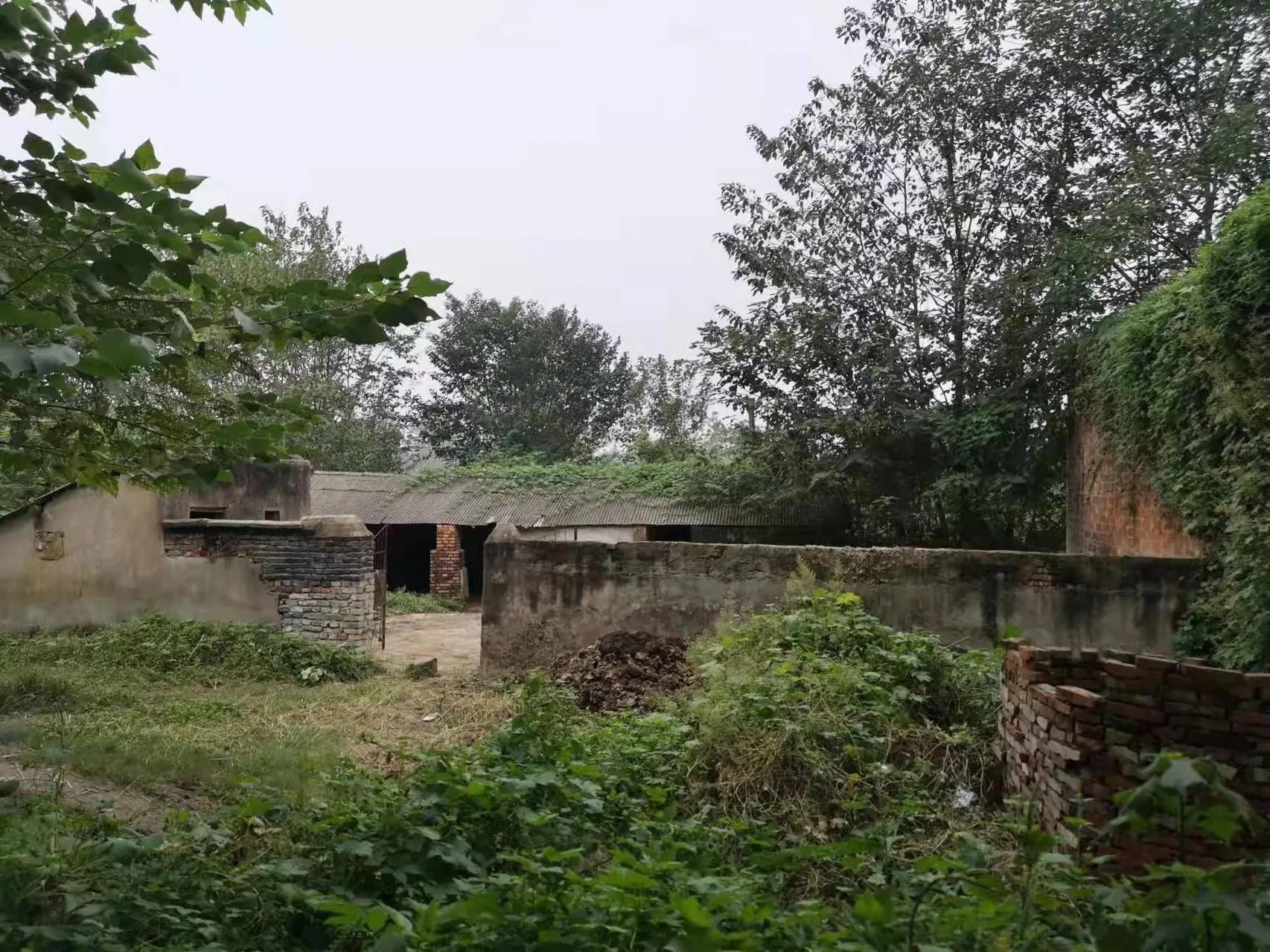清明的雨是天堂思念的泪,清明的雨是多情的泪
