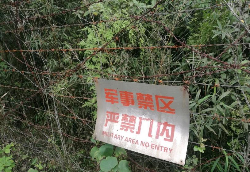 今天韩国最近消息,韩国今天新的消息