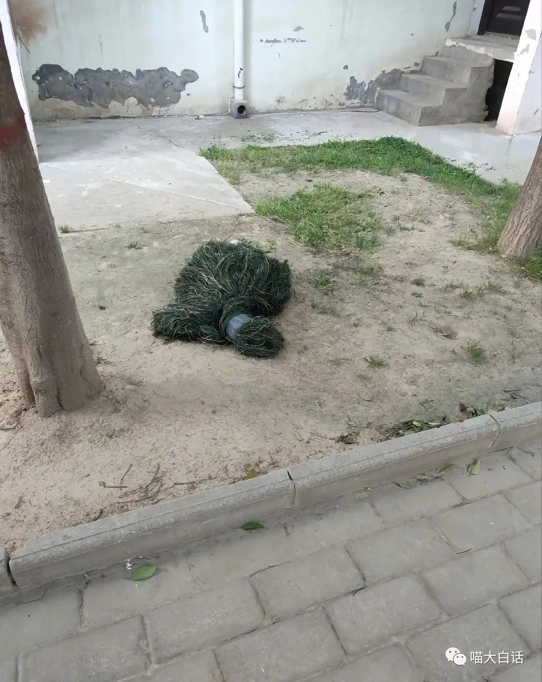 母亲节送妈妈什么礼物比较实用,母亲节送啥礼物给妈妈呢搞笑