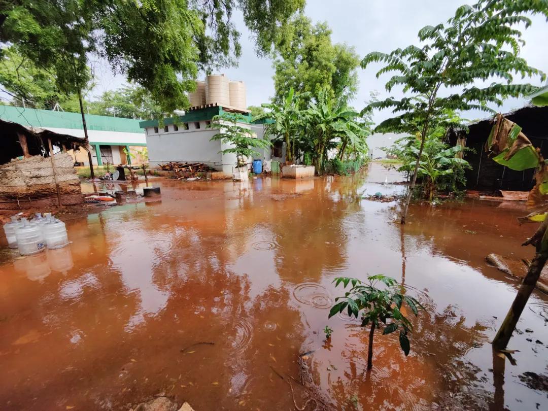 集中营六记,集中营逃亡7年