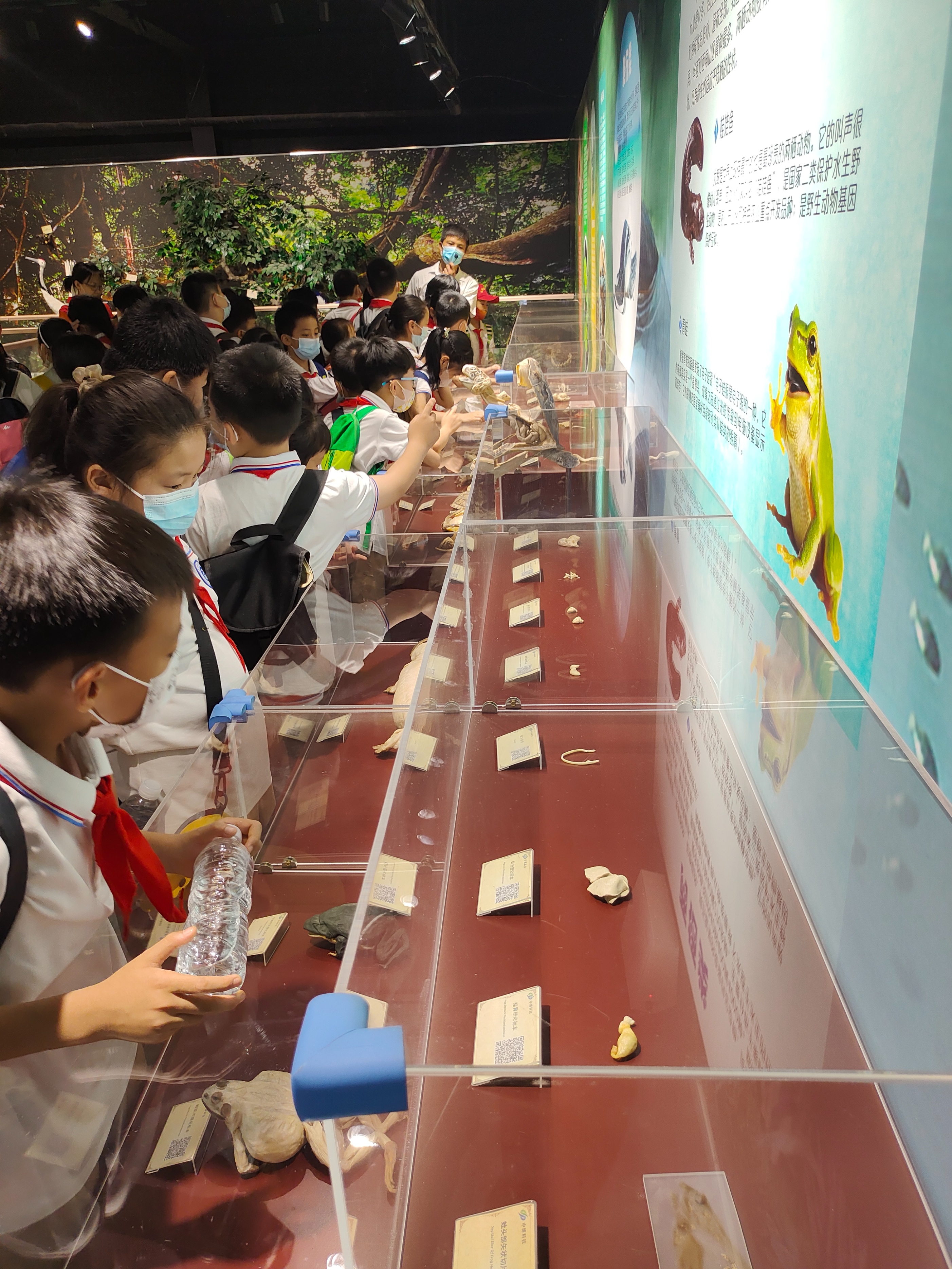 郑州周末学生游玩推荐,郑州夏天周边适合孩子玩免费景点