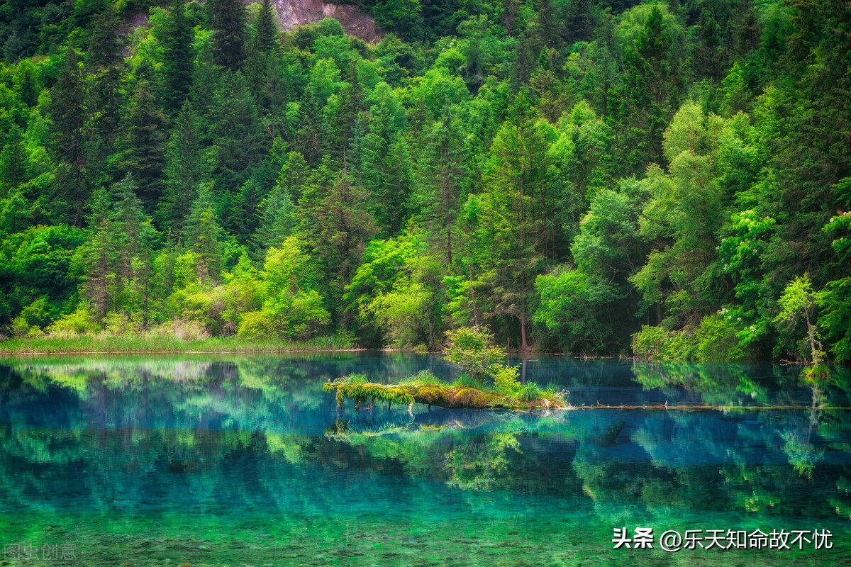 校园系列八十：我的一天